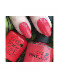 Shellac Mambo Beat