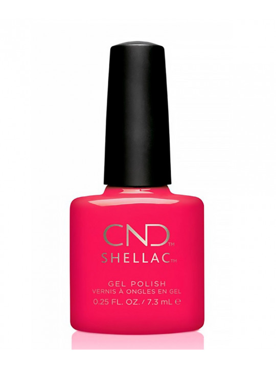 Shellac Offbeat