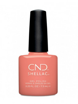 Shellac Spear - Edition limitée