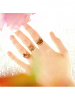 Tatouage éphémère - Trois Chats