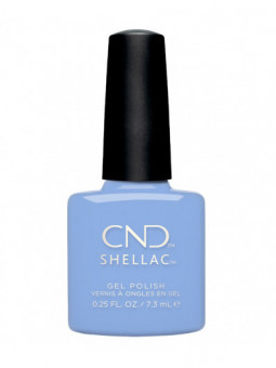 Shellac Chance Taker