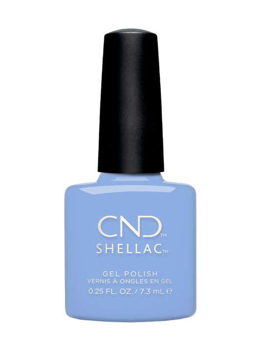 Shellac Chance Taker