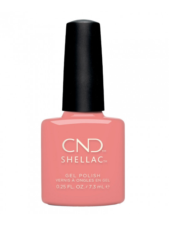 Shellac Rule Breaker