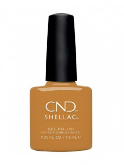 Shellac Candlelight - Edition limitée