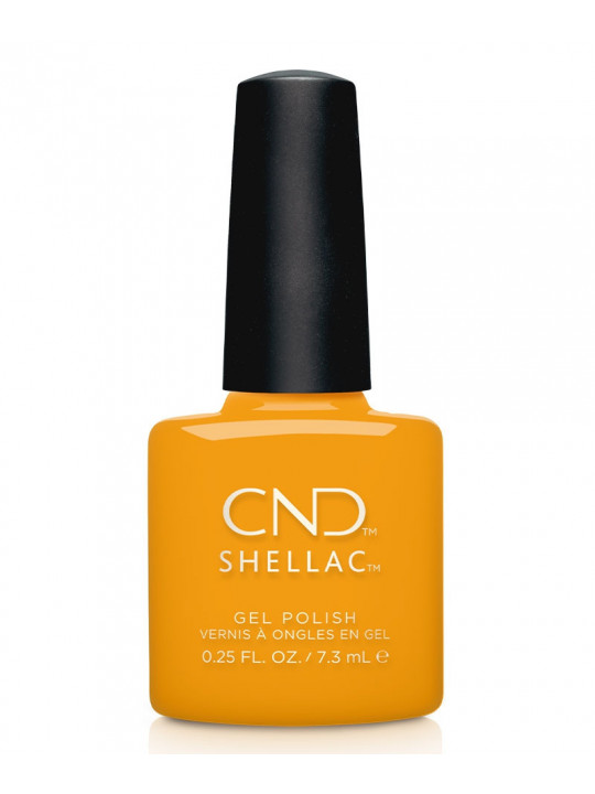Shellac Among the Marigolds