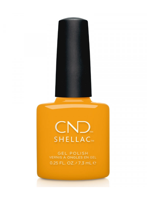 Shellac Among the Marigolds