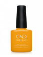 Shellac Among the Marigolds