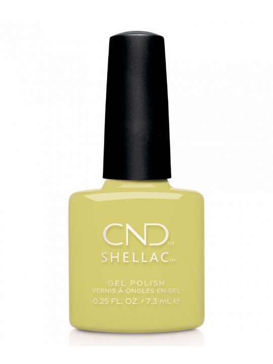 Shellac Mind Over Matcha