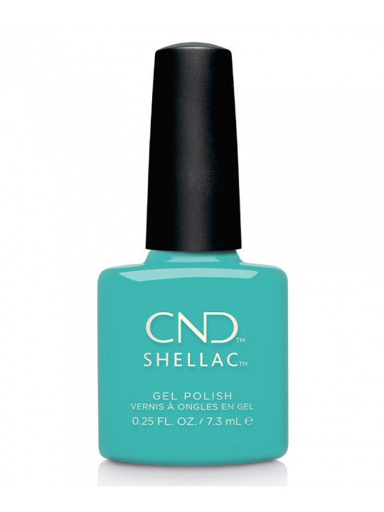 Shellac Oceanside