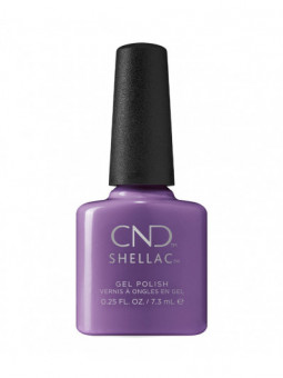 Shellac Absolutely radishing