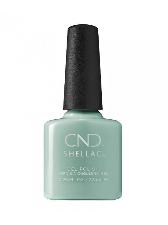 Shellac Morning Dew