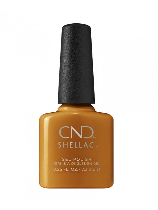 Shellac Willow Talk