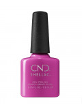 Shellac Orchid Canopy