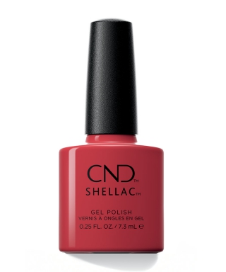 Shellac Love Letter
