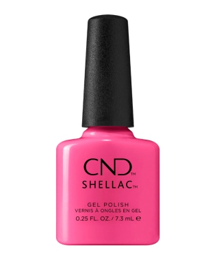 Shellac In Lust