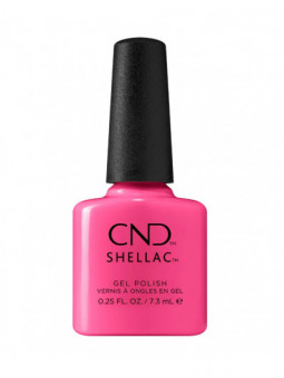 Shellac In Lust