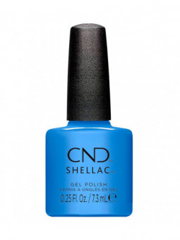 Shellac Montley Blue