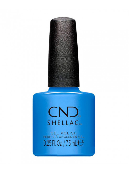 Shellac Montley Blue