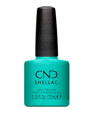 Shellac Clash Out