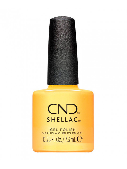 Shellac Sundial it Up