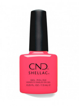 Shellac Magenta Sky