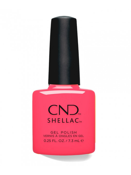 Shellac Magenta Sky