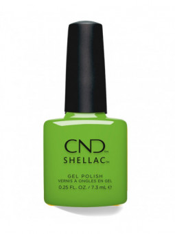 Shellac Meadow Glow
