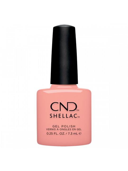 Shellac Sunrise Energy