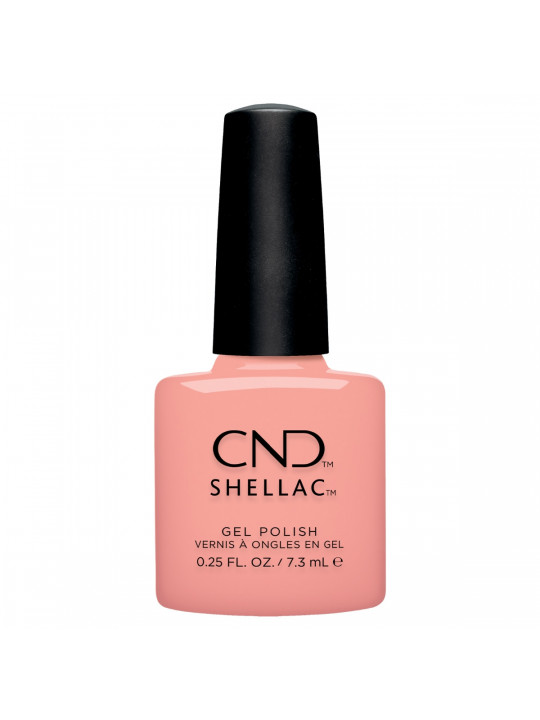 Shellac Sunrise Energy