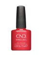 Shellac Dragon Slay all Day