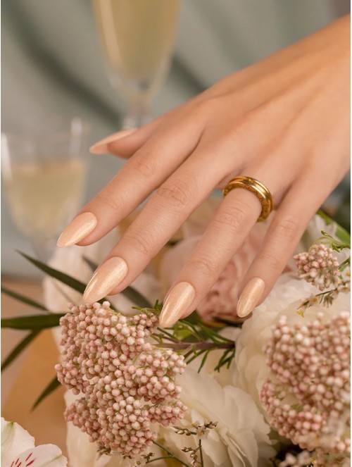 Gel Polish Andreia - ID3