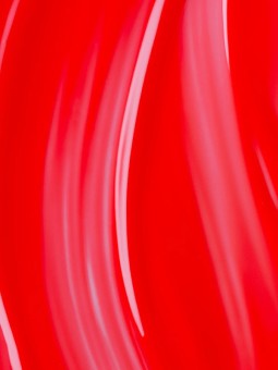 The Gel Polish Andreia - G15