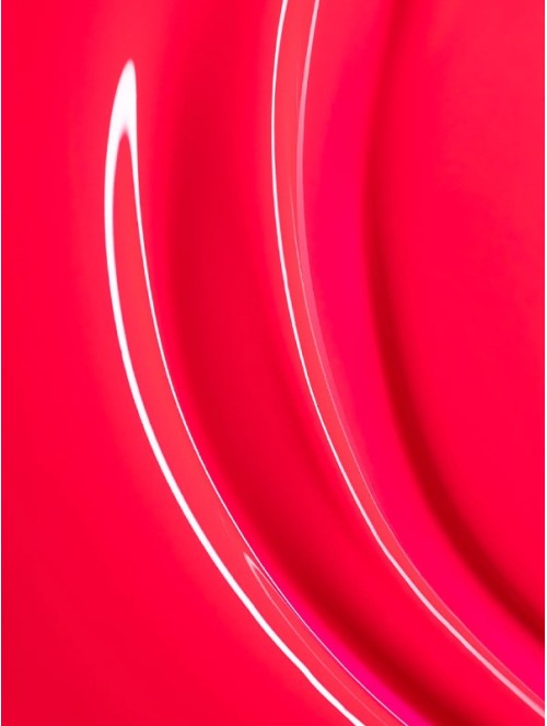 The Gel Polish Andreia - VS4