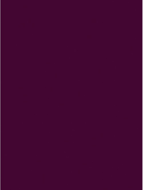 Gel Polish Andreia - 231