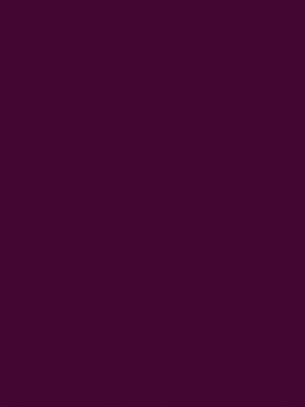 Gel Polish Andreia - 231