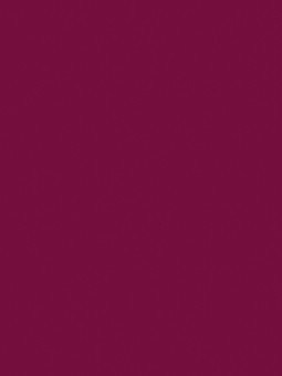 Gel Polish Andreia - 303