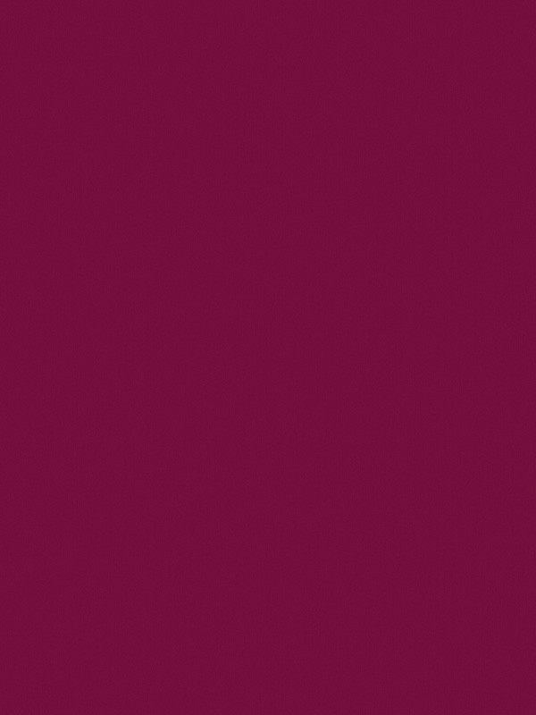 Gel Polish Andreia - 303