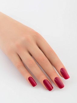Gel Polish Andreia - 303