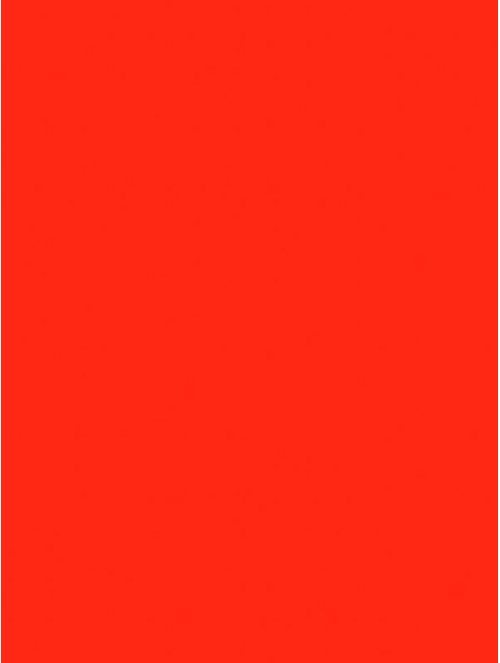 Gel Polish Andreia - 293