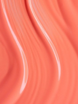 The Gel Polish Andreia - FS2