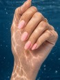 True Pure Gel Polish Andreia - PV5
