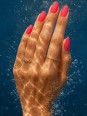 True Pure Gel Polish Andreia - PV4