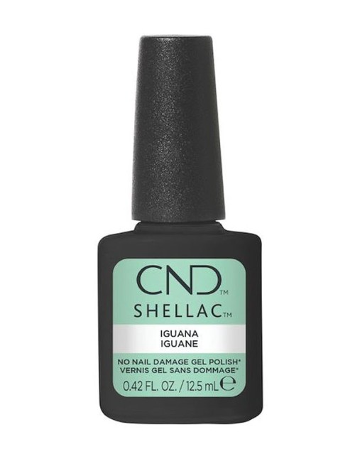Shellac Iguana