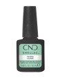 Shellac Iguana