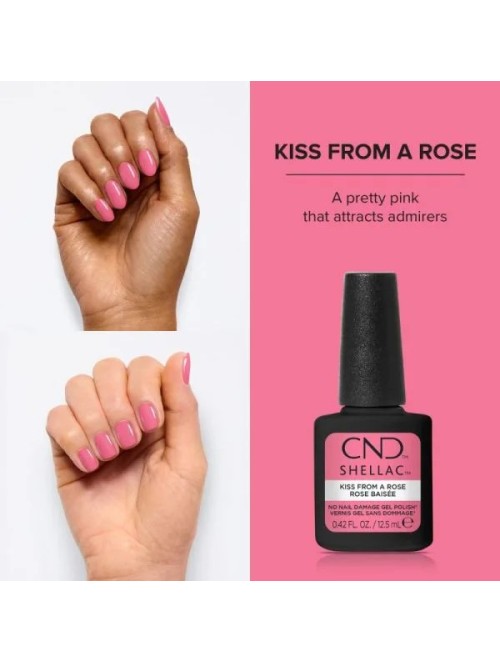 SHELLAC KISS FROM A ROSE