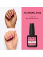 SHELLAC KISS FROM A ROSE