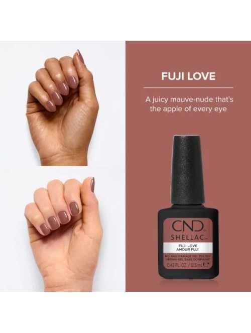 shellac fuji love