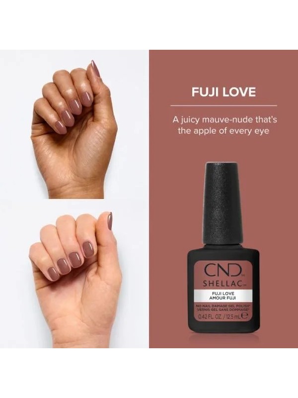 shellac fuji love