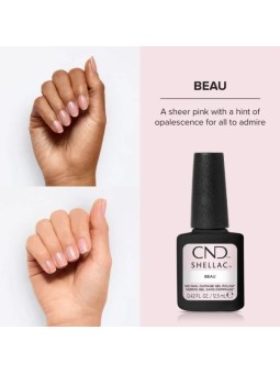 SHELLAC BEAU