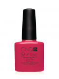 Shellac Lobster Roll